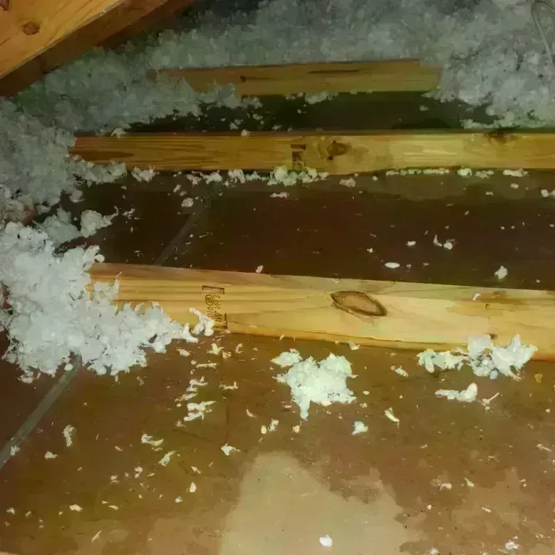 Attic Water Damage in Dumfries, VA